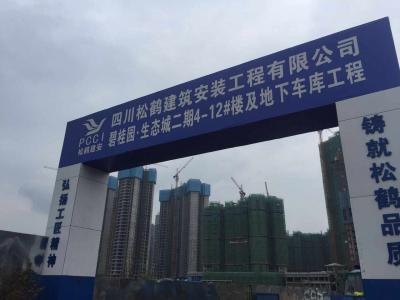 瀘州碧桂1園
