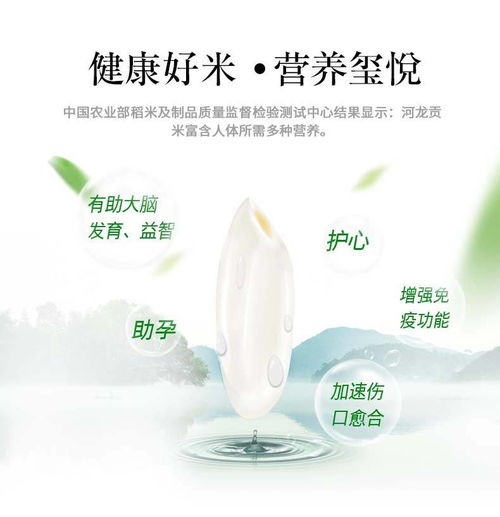 伊盆 河龍貢米璽悅5kg 寧化優質綠色食品大米秈米10斤 純人工種植